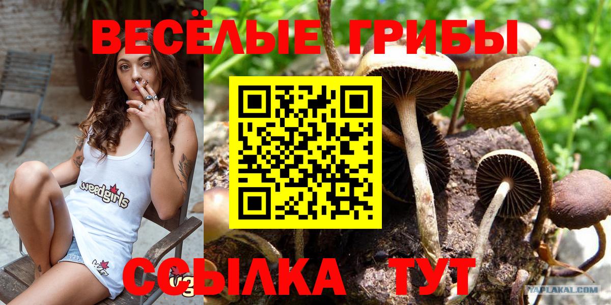 Алексин  Галлюциногенные грибы Magic Shrooms  Вход с VPN 
